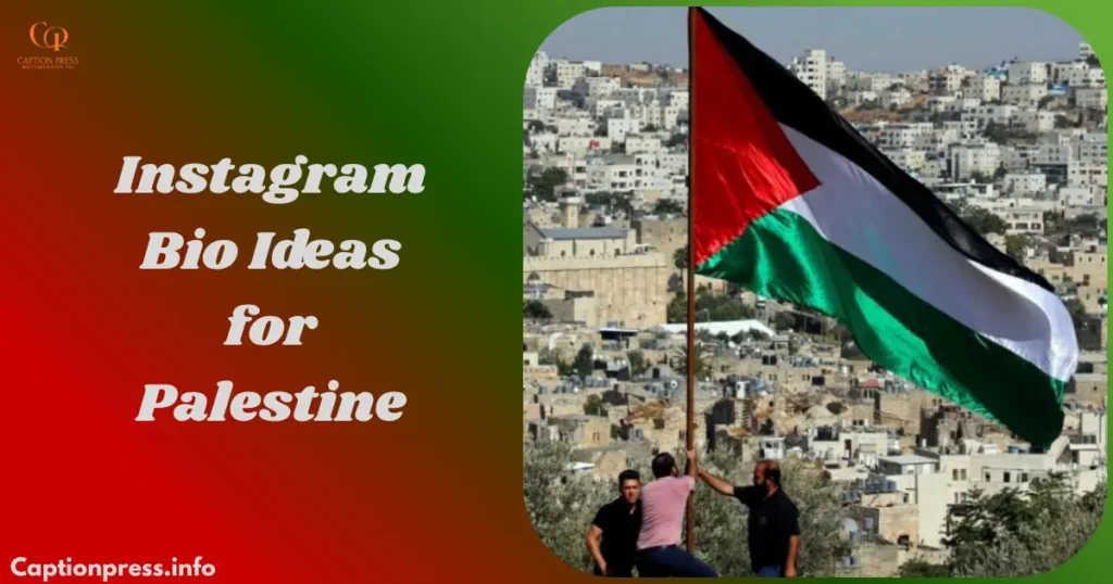 Instagram Bio Ideas for Palestine