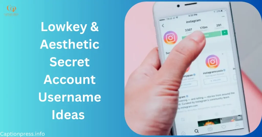 Lowkey & Aesthetic Secret Account Username Ideas 
