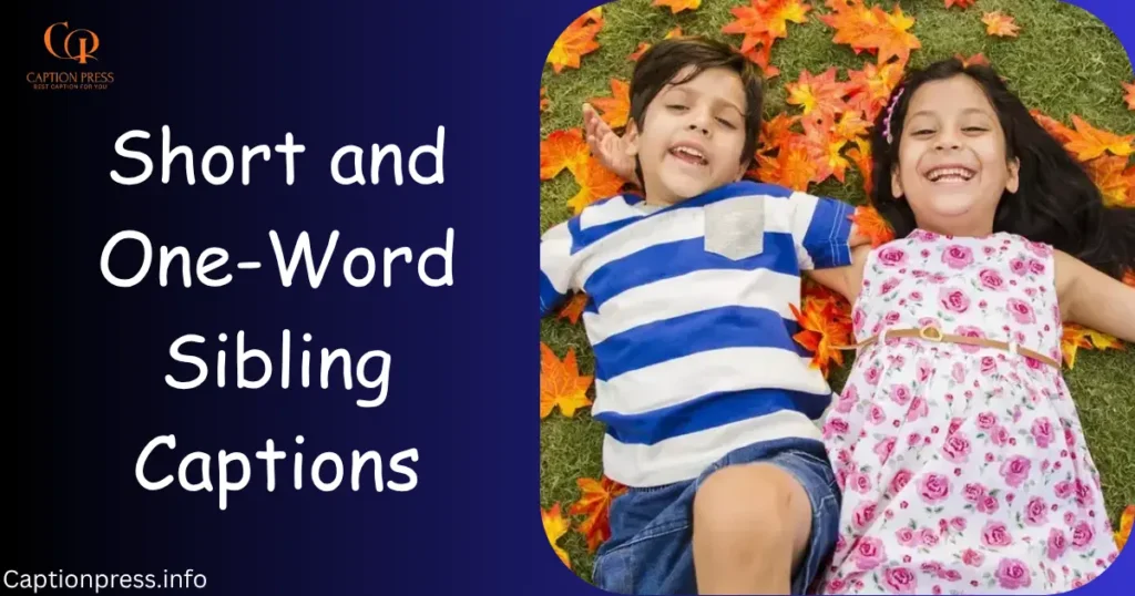 Short and One-Word Sibling Captions